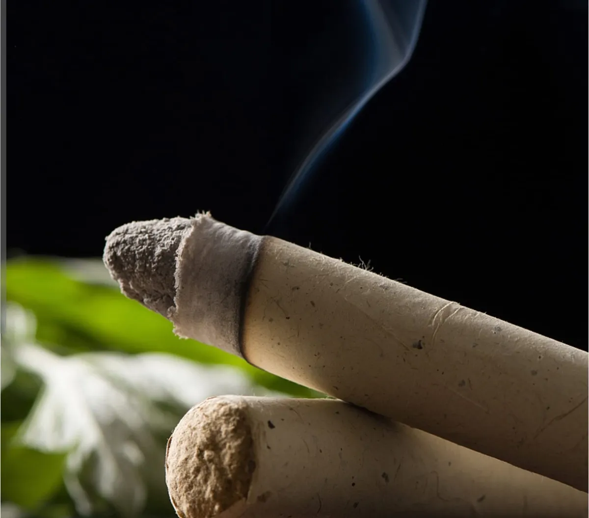 גואשה